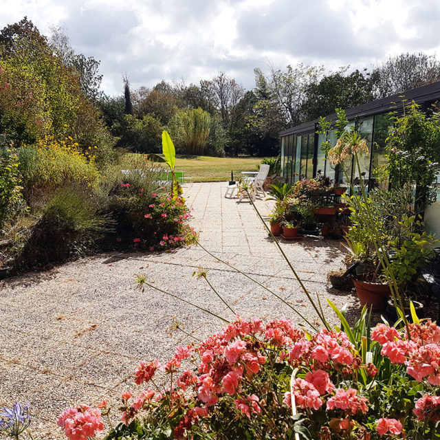 jardin-1 (1) jardin-1 (1)