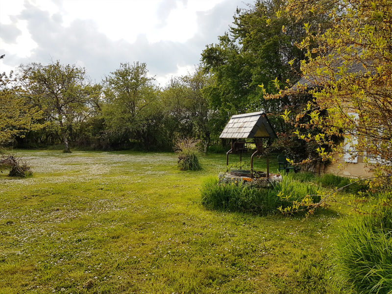 jardin-4