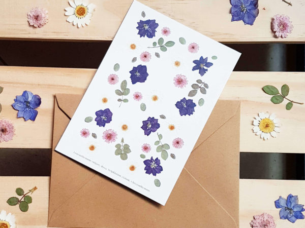 carte-postale-rose-bleur-1 carte-postale-rose-bleur-1