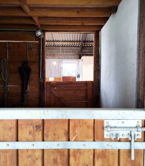 My project-1 (34) (1)