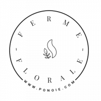 LOGO-ROND