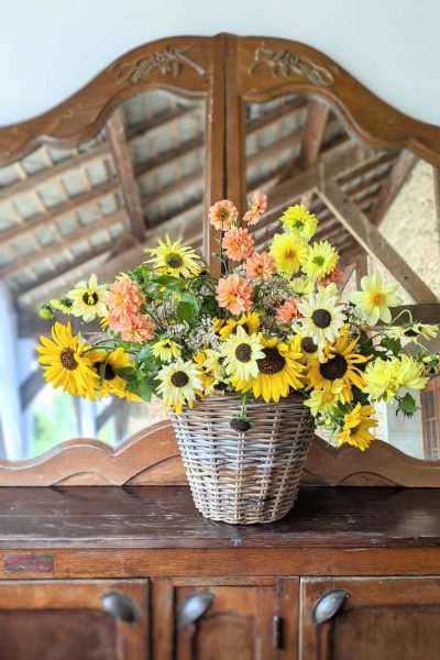 PXL_20250926_154256994~2 (2)