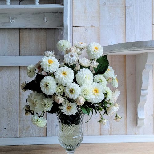 PXL_20251107_154036618.MP~2 (1)