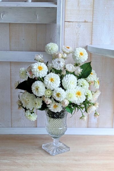 PXL_20251107_154158890.PORTRAIT~2