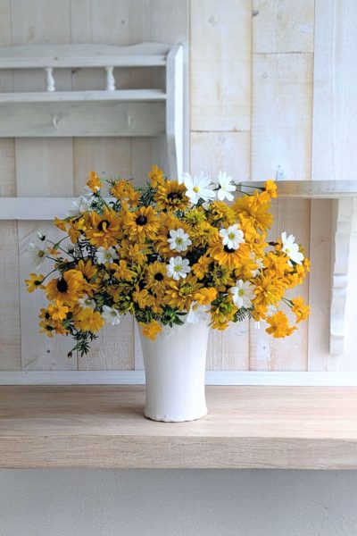 PXL_20251116_141527037.PORTRAIT~2 (2)