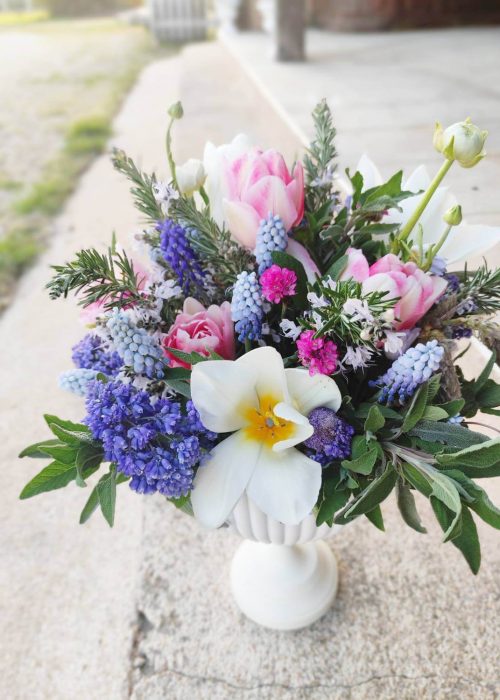 coupe-printemps-1 (1)